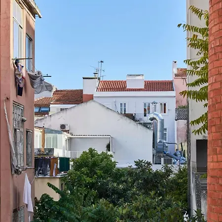 Alegria Apartments By Realmobility-3